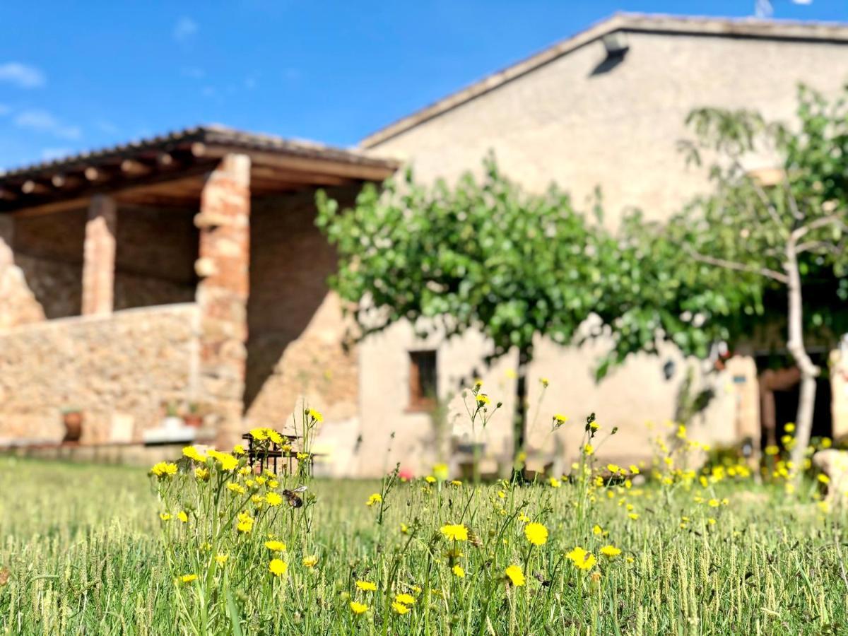 Casa Rural Can Miquel - En Pleno Bosque Y Cerca De La Playa - Increibles Rutas Btt サンタ・コロマ・デ・ファルネルス エクステリア 写真