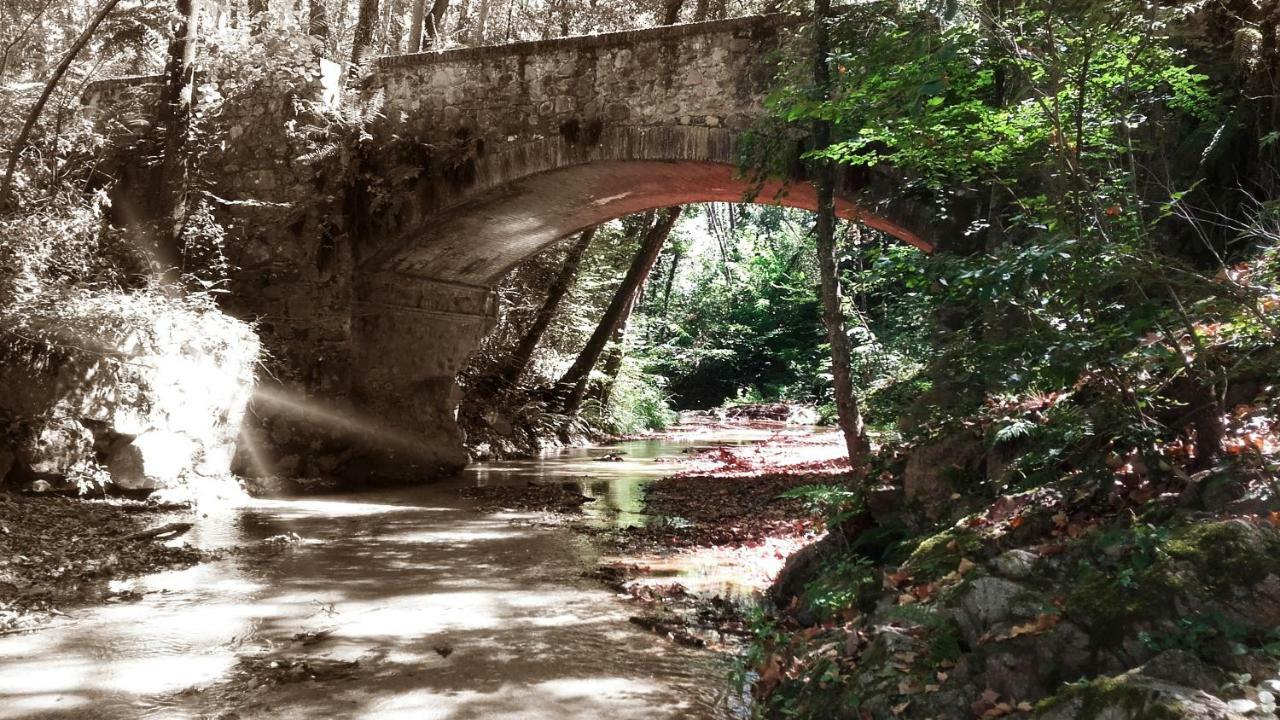 Casa Rural Can Miquel - En Pleno Bosque Y Cerca De La Playa - Increibles Rutas Btt サンタ・コロマ・デ・ファルネルス エクステリア 写真