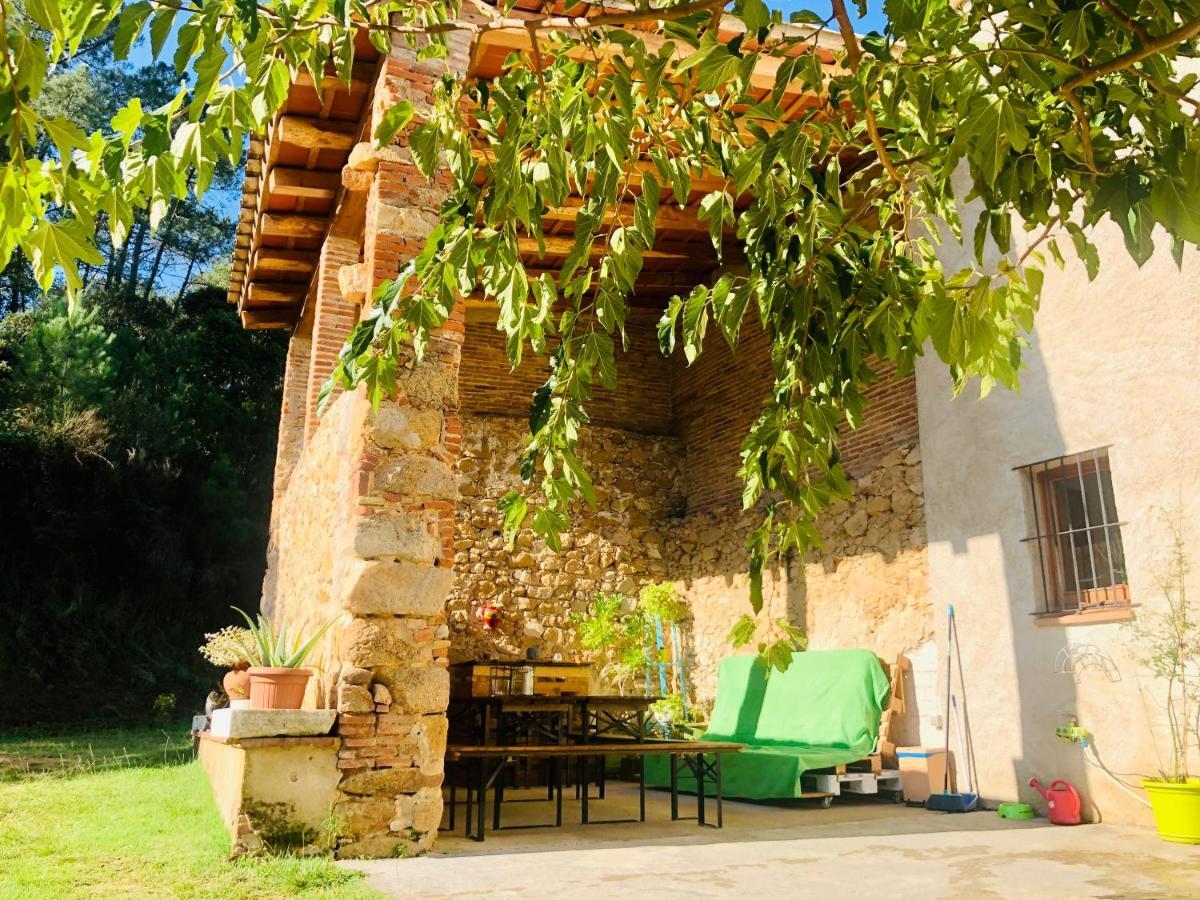 Casa Rural Can Miquel - En Pleno Bosque Y Cerca De La Playa - Increibles Rutas Btt サンタ・コロマ・デ・ファルネルス エクステリア 写真