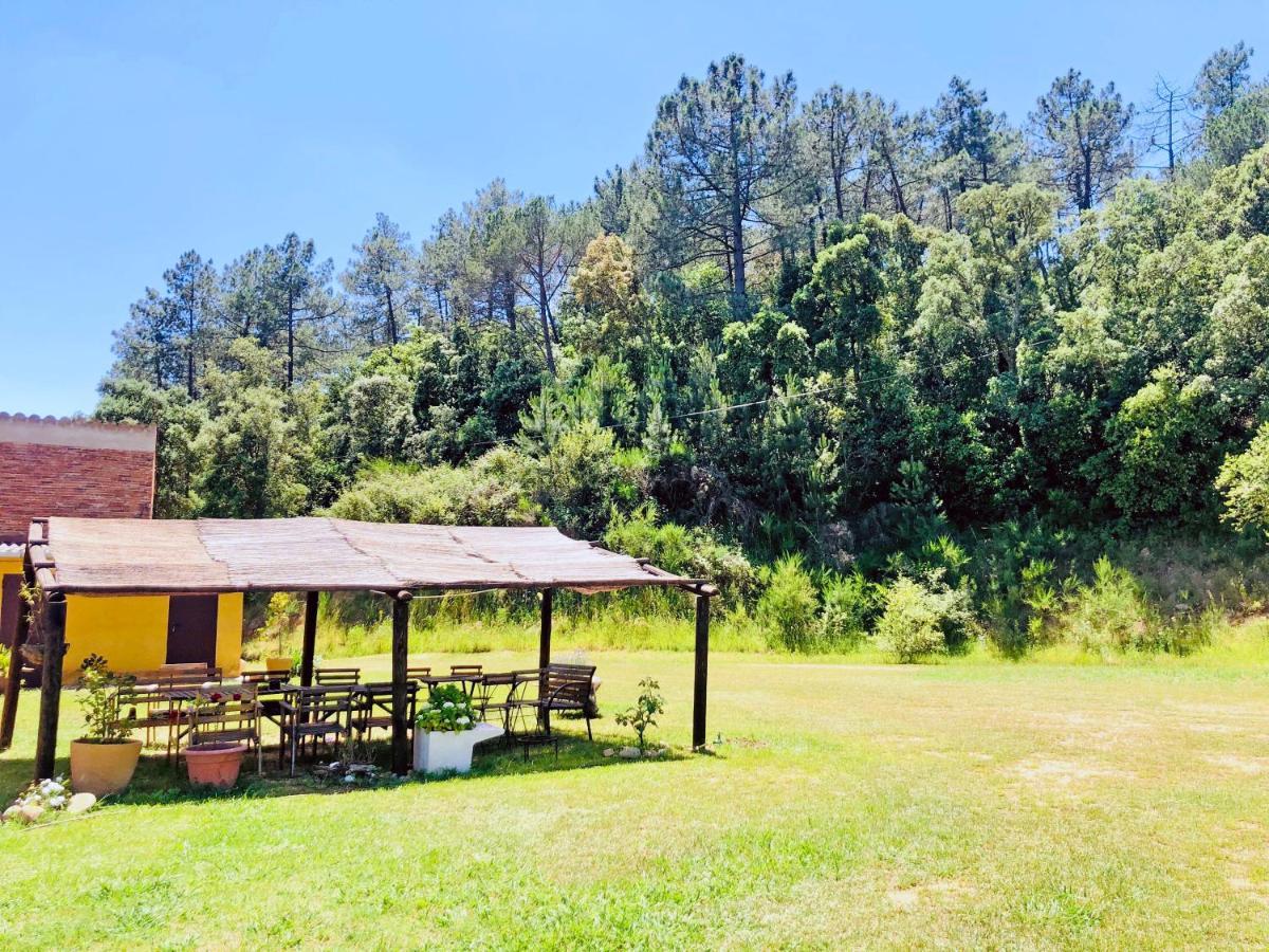 Casa Rural Can Miquel - En Pleno Bosque Y Cerca De La Playa - Increibles Rutas Btt サンタ・コロマ・デ・ファルネルス エクステリア 写真