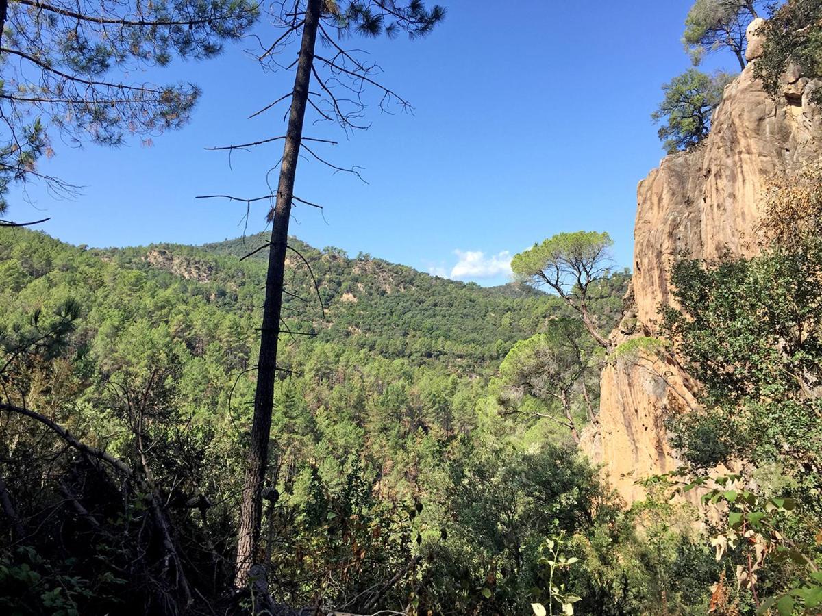 Casa Rural Can Miquel - En Pleno Bosque Y Cerca De La Playa - Increibles Rutas Btt サンタ・コロマ・デ・ファルネルス エクステリア 写真