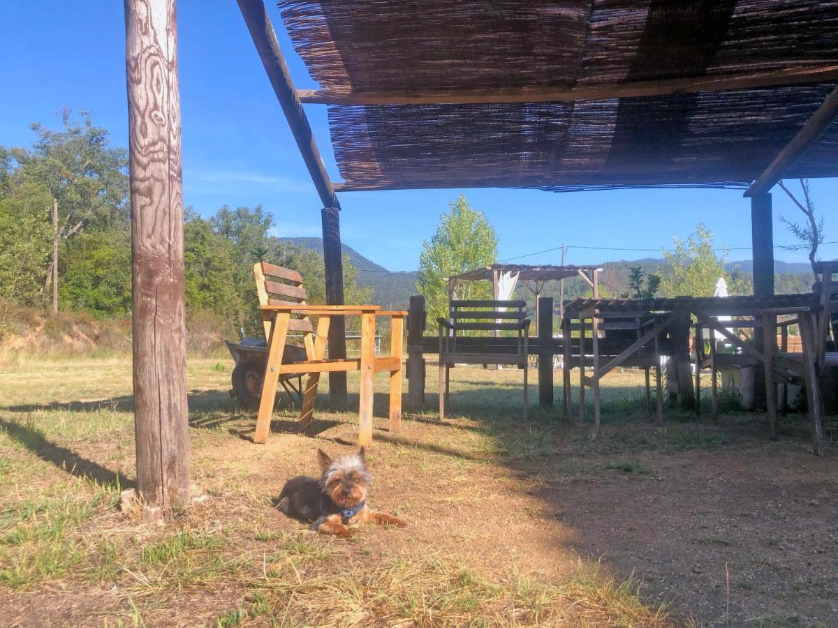 Casa Rural Can Miquel - En Pleno Bosque Y Cerca De La Playa - Increibles Rutas Btt サンタ・コロマ・デ・ファルネルス エクステリア 写真