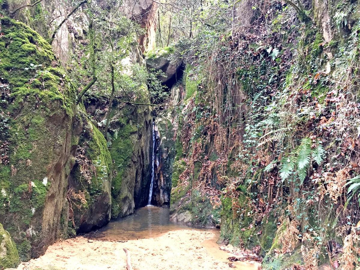 Casa Rural Can Miquel - En Pleno Bosque Y Cerca De La Playa - Increibles Rutas Btt サンタ・コロマ・デ・ファルネルス エクステリア 写真